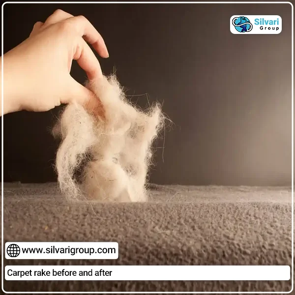 Carpet rake before and after | silvarigroup