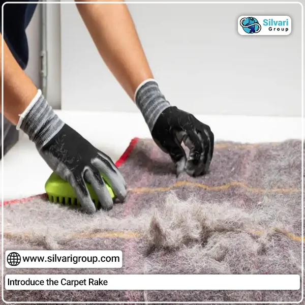 Introduce the Carpet Rake | silvarigroup