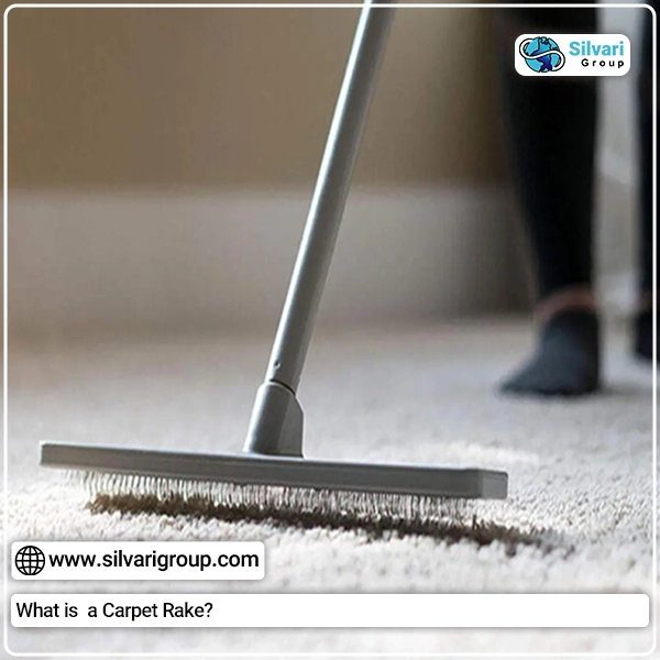 What is a Carpet Rake | | silvarigroup