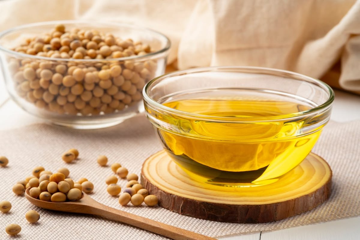 lecithin supplier